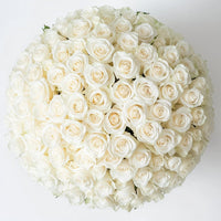 Farm-Fresh White Roses Bouquet