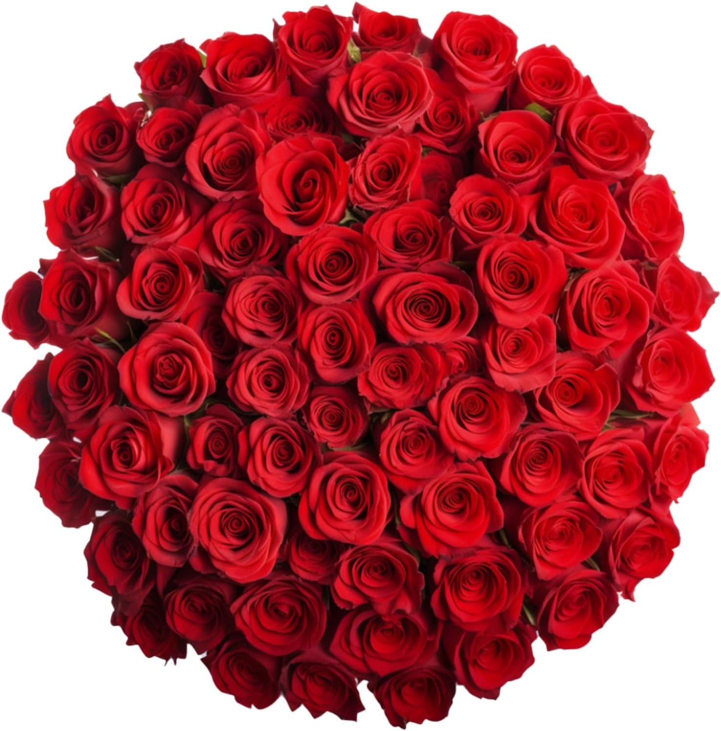 Farm-Fresh Luxury Red Roses Bundle