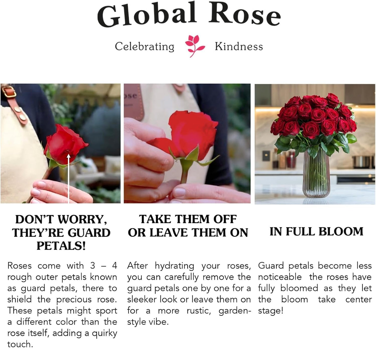 Farm-Fresh Luxury Red Roses Bundle
